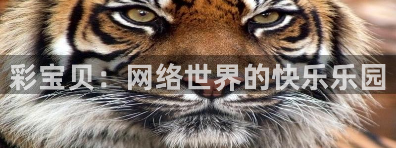 bb电子官方平台：彩宝贝：网络世界的快乐乐园