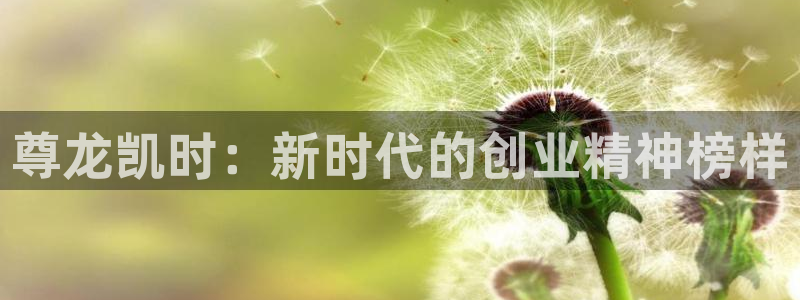 bb电竞：尊龙凯时：新时代的创业精神榜样